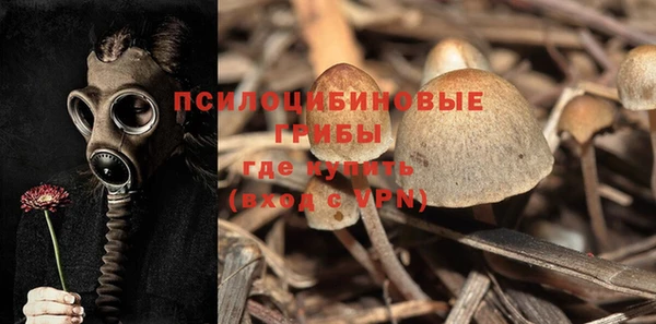 гидропоника Алзамай