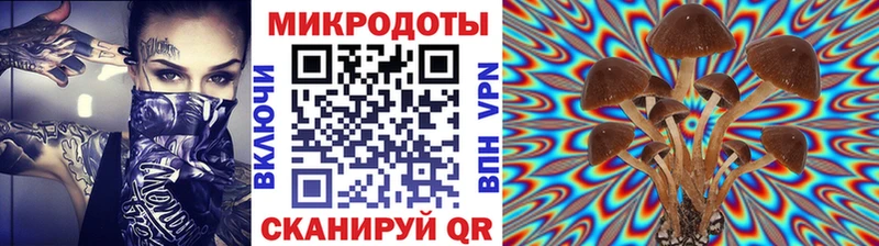Псилоцибиновые грибы мухоморы  Никольское 